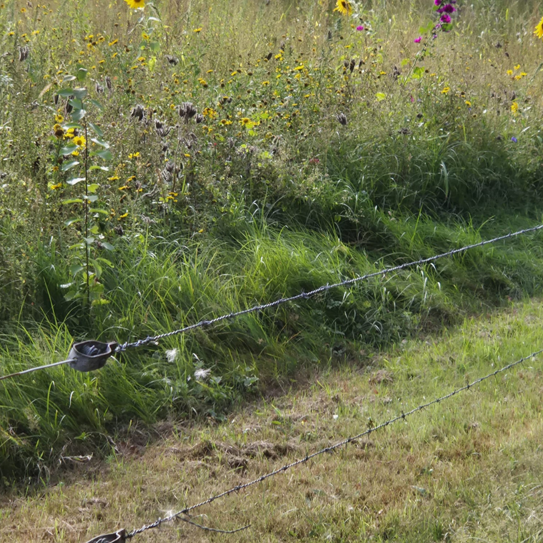 Al-Anon familiegroepen Ooit vrienden en familie van verslaafden